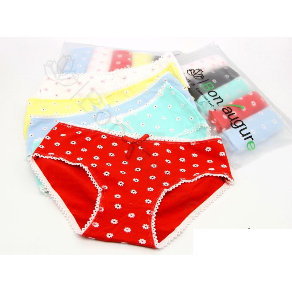 Bộ Combo 05 Quần Lót Nữ Bông Nhí Cute Vải Cotton Cao Cấp