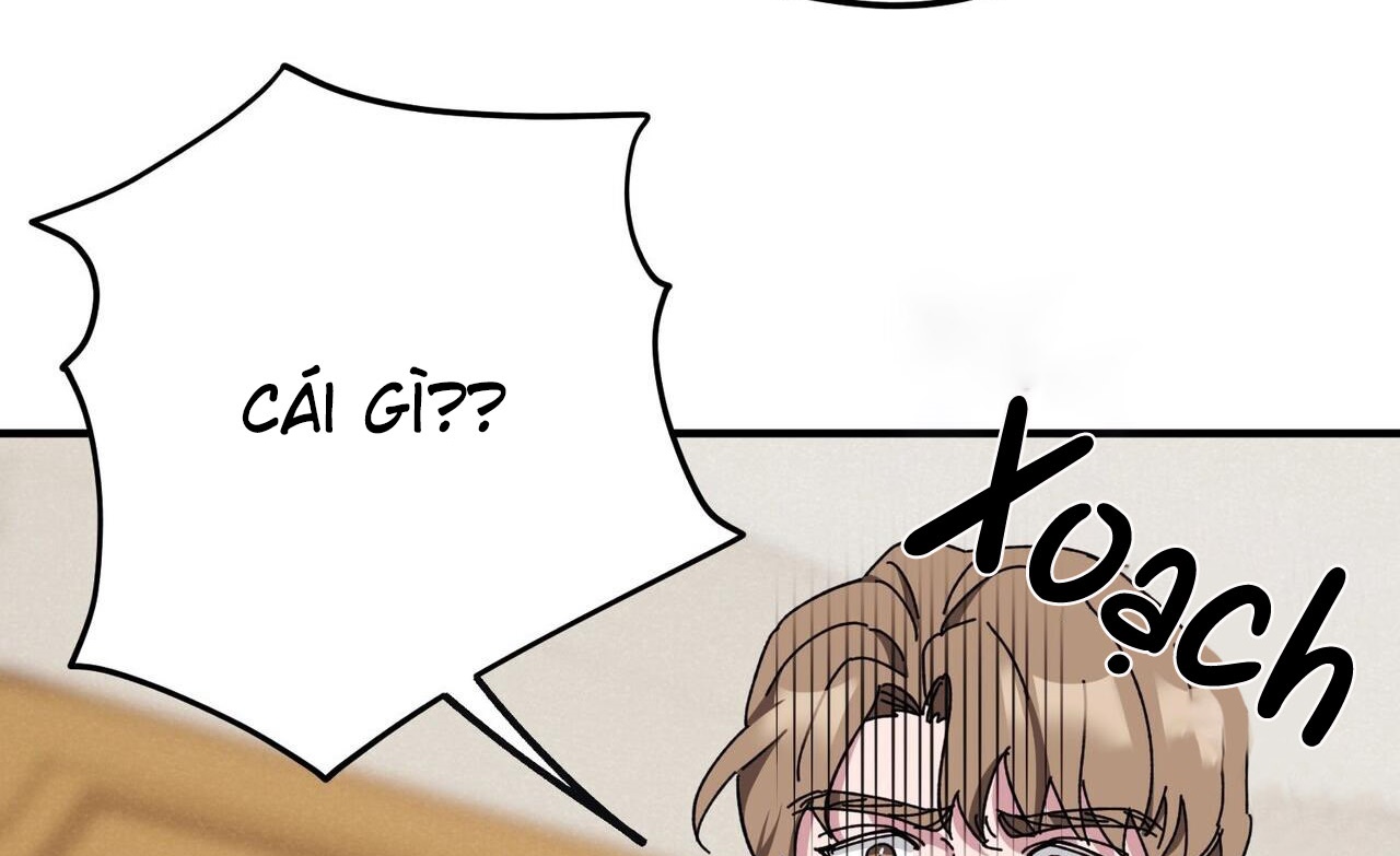 chàng dâu nhà họ kang chapter 37 172