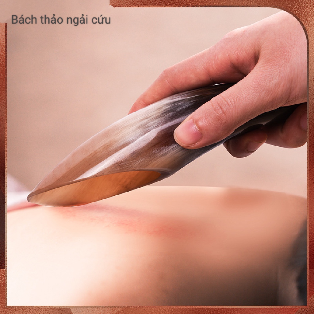 Dụng cụ điện chẩn massage - CÂY CẠO GIÓ, DAY ẤN HUYỆT BẰNG SỪNG tự nhiên