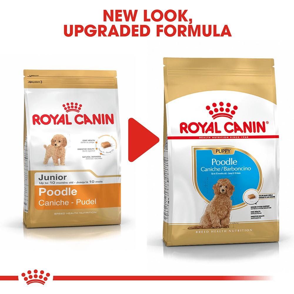 Hạt Royal Canin Poodle Puppy Cho Chó Con Poodle