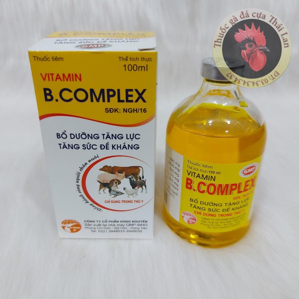 Vitamin B complex (bổ dưỡng tăng lực , tăng sức đề kháng) 1 lọ / 100ml