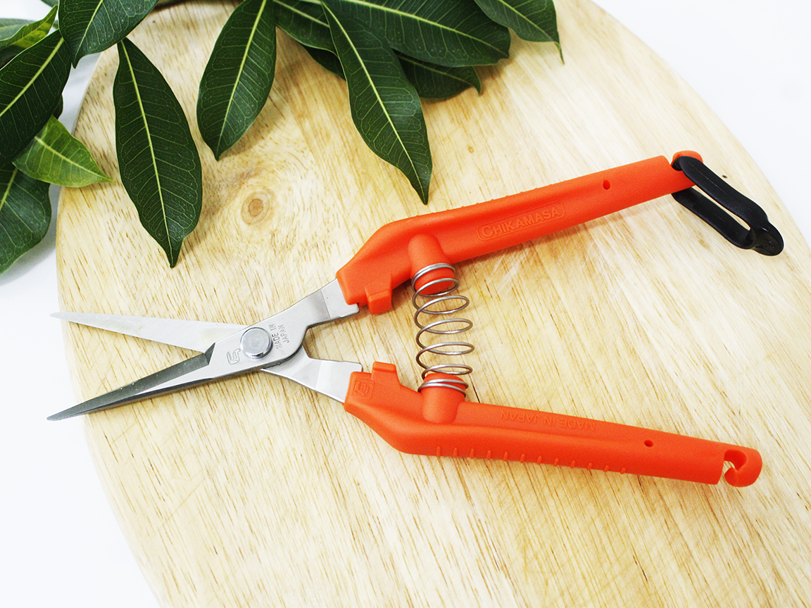 Kéo tỉa cành cao cấp Nhật Bản Chikamasa TP-530S
