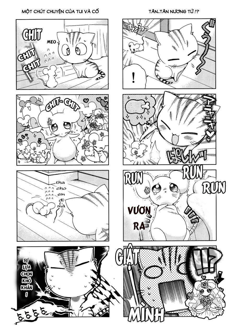 ashiya-san no neko chapter 11 5