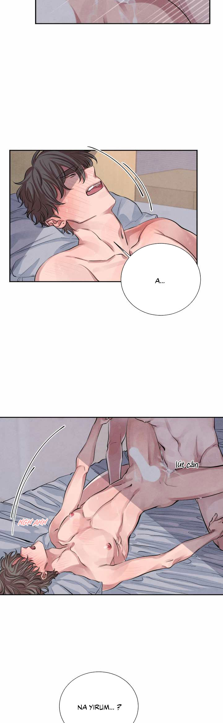 tiếng san hô nở chapter 12 2