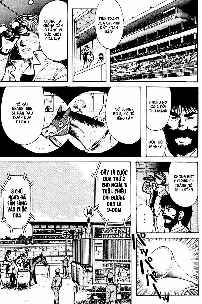 kaze no sylphid - phong mã silphid chapter 14 12