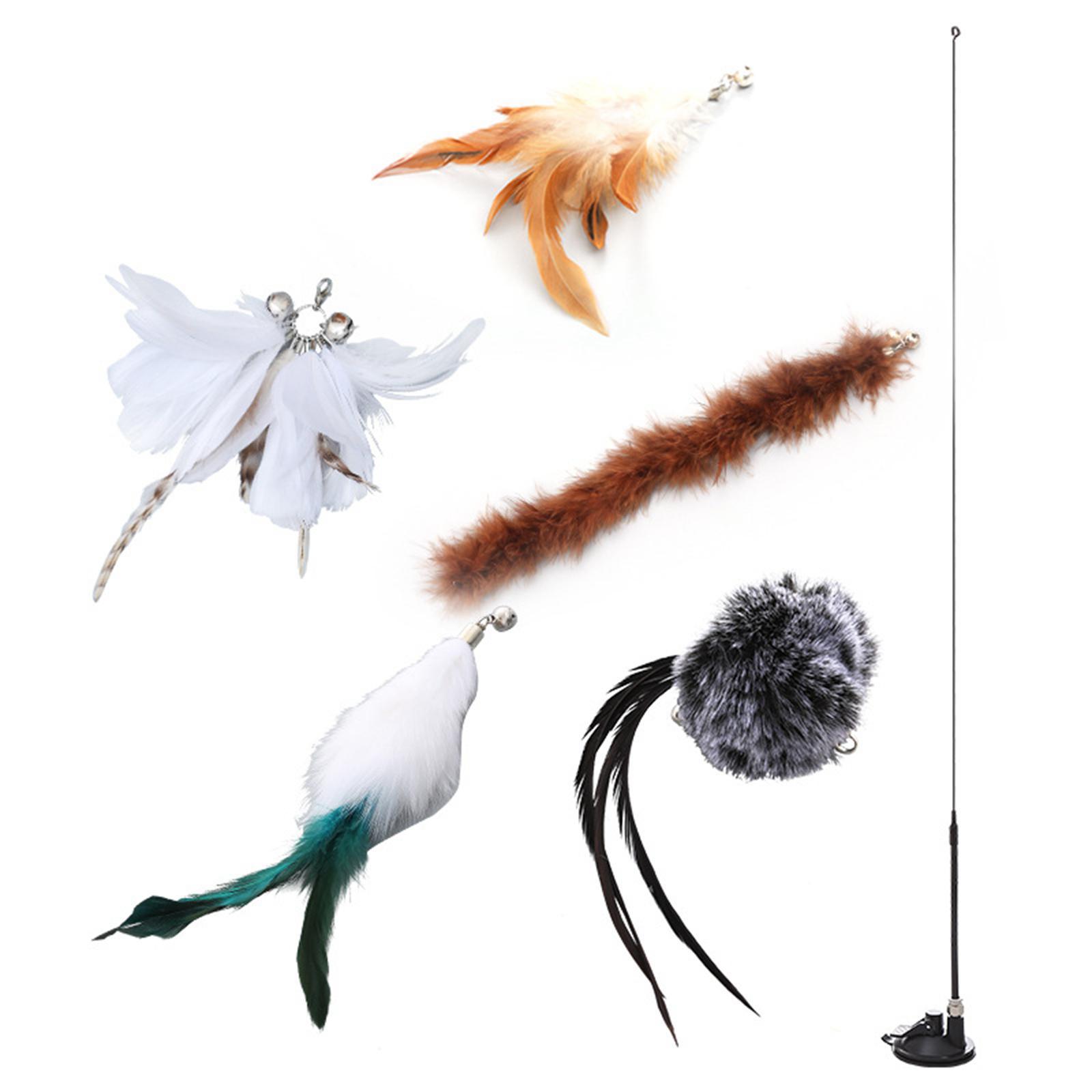 Kitten Toy Set Replacement Interactive Toys Exercise Pet Supplies