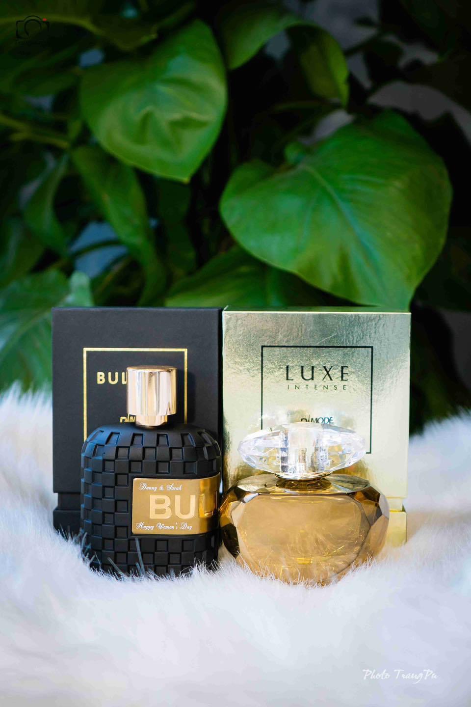 Combo nước hoa cặp cao cấp độc quyền DAMODE BULLION 100ml cho nam vs LUXE 75ml cho nữ