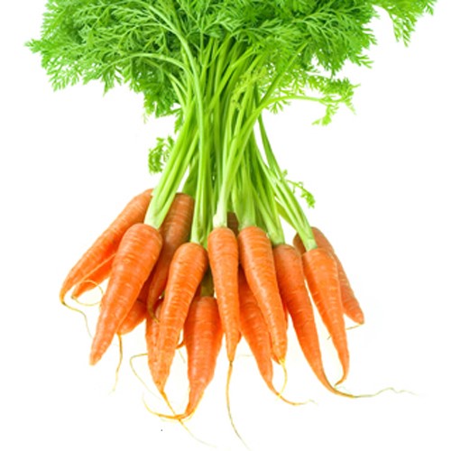 Hạt giống Cà rốt Baby - cà rốt tí hon VTS184