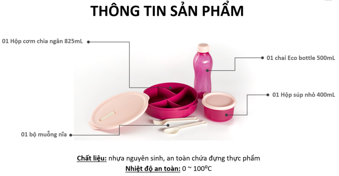 BỘ HỘP CƠM CHIA NGĂN FIT TO GO KÈM TÚI