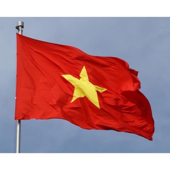 Cờ Tổ Quốc Kích thước 2x3m Vải Satanh Loại đẹp