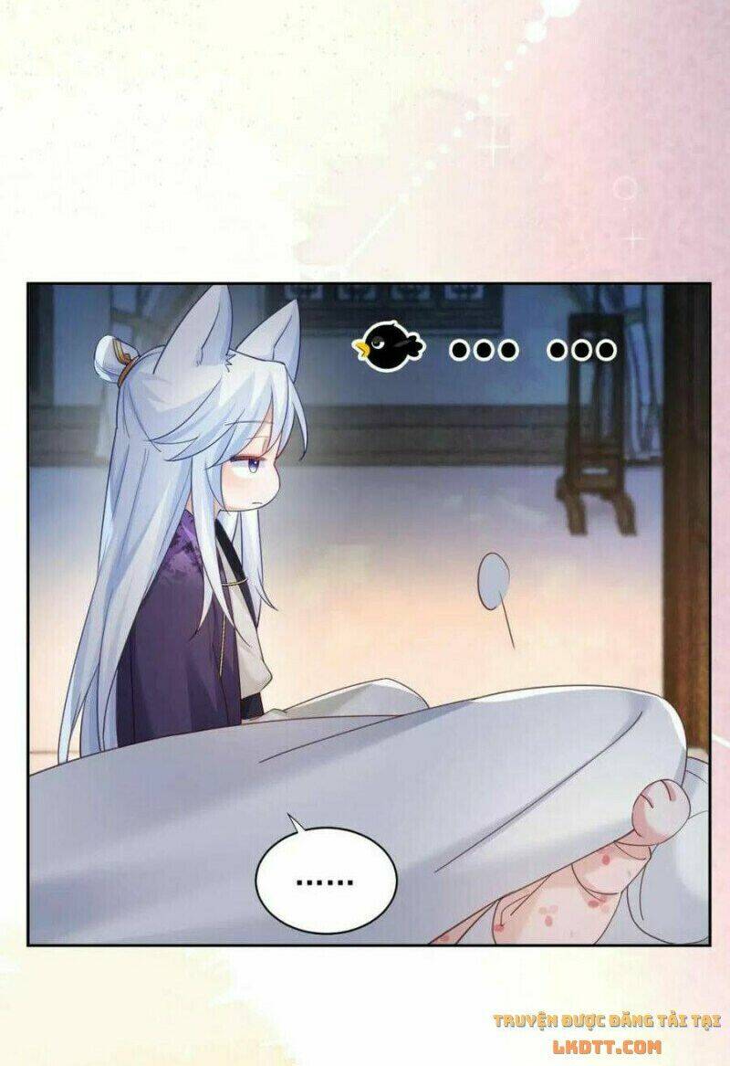 hắc hóa nam chính trực tuyến nuôi thỏ chapter 59 31