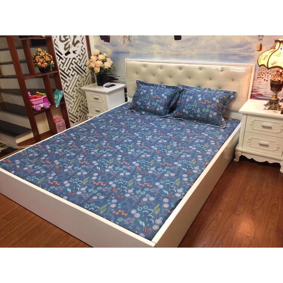 BỘ GA GỐI COTTON ORGANIC