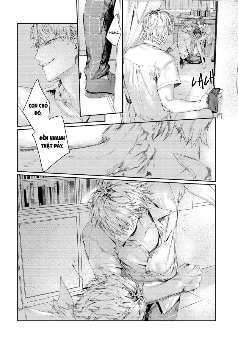 xin đừng buông tay em chapter 3 11