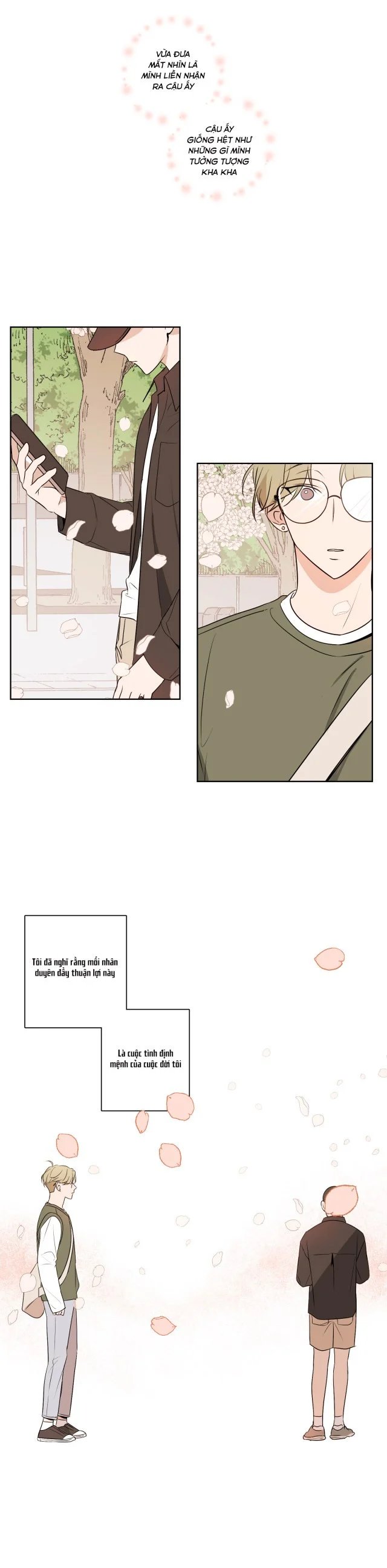 khi đào nở hoa chapter 16 17