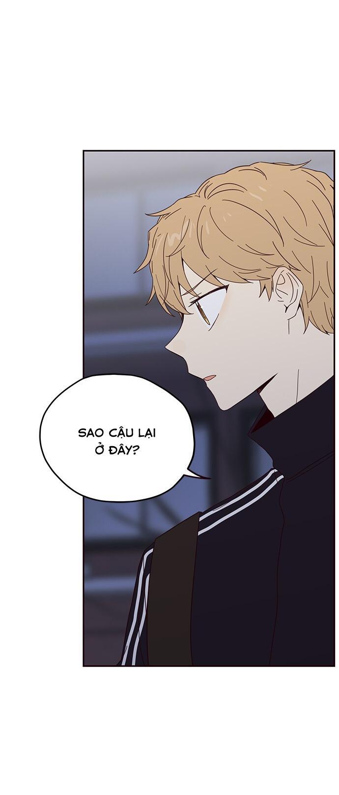 sợi chỉ tình yêu chapter 20 19