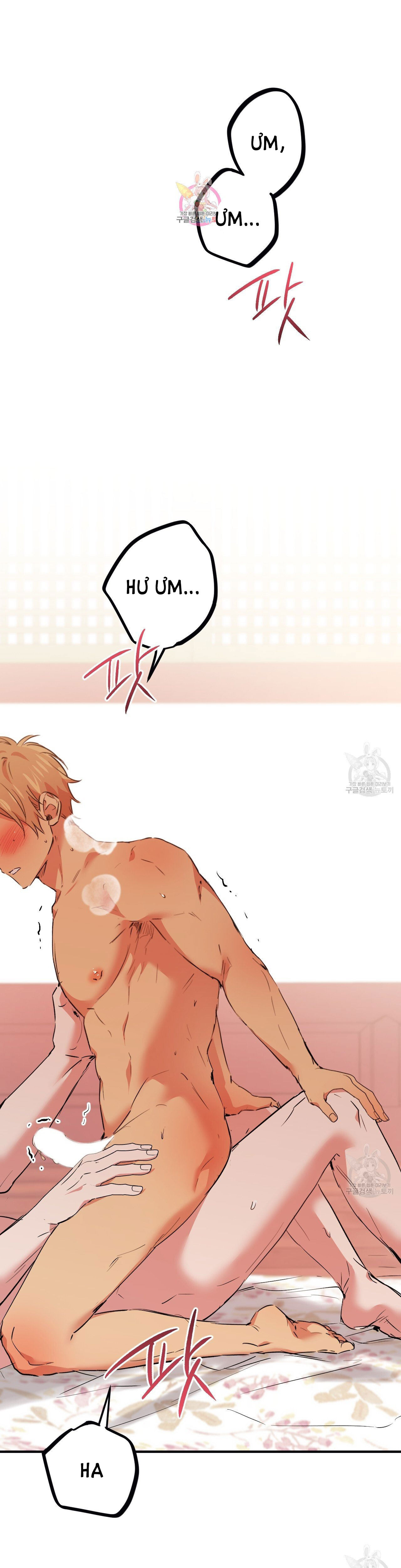 những chú thỏ của hapypy chapter 64.1 1