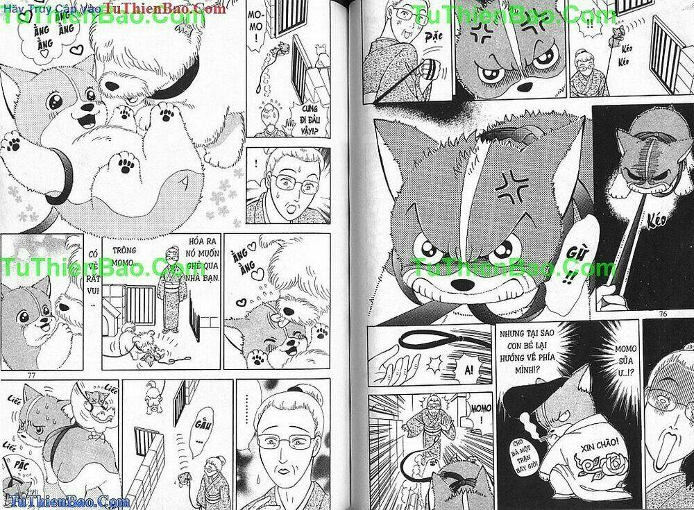 chó con mo mo chapter 2 39