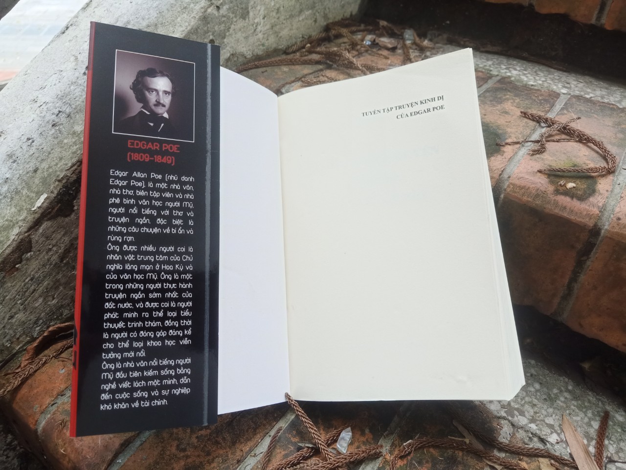 Tuyển Tập Truyện Kinh Dị Của Edgar Poe - Võ Thị Thu Thảo dịch -