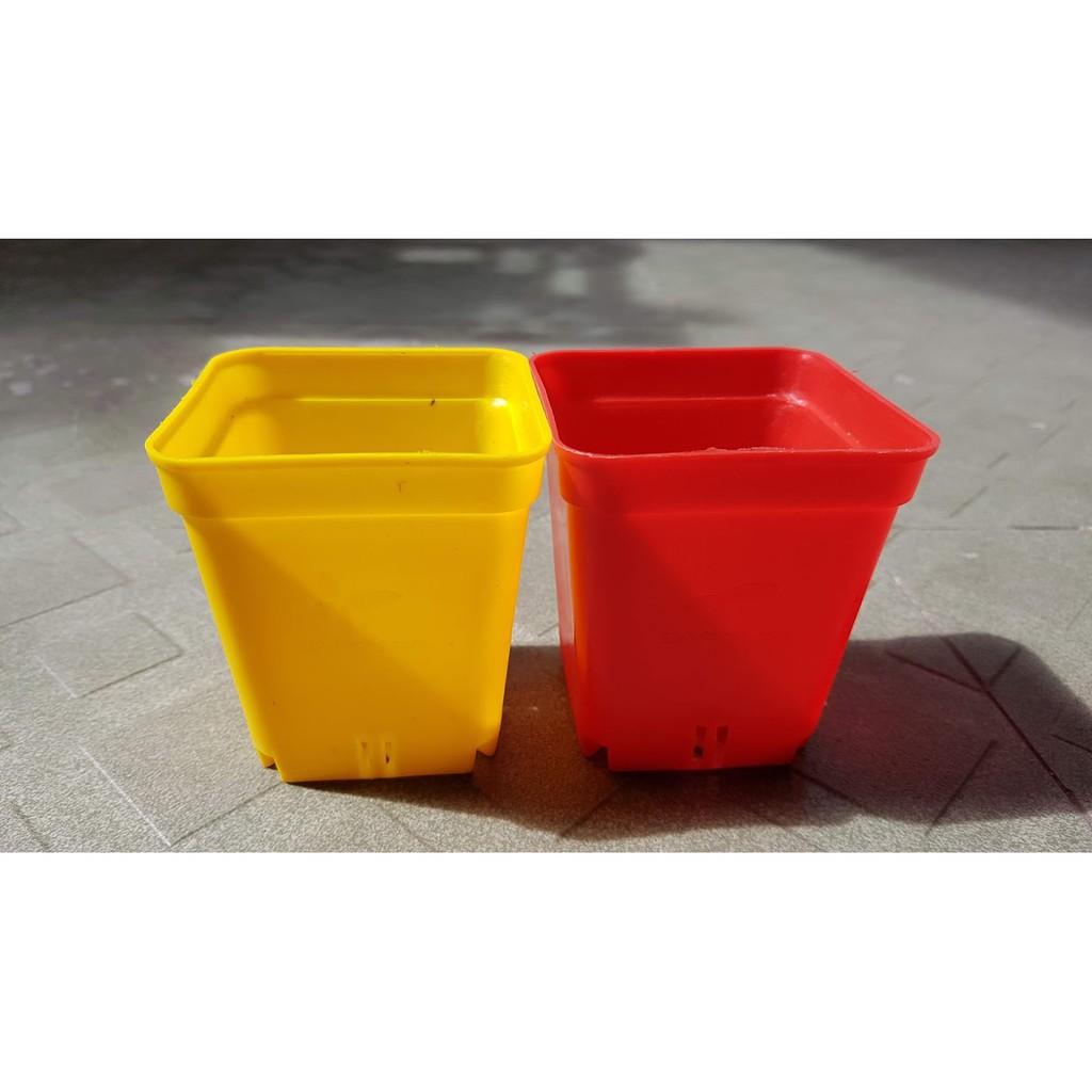 Combo Chậu nhựa vuông 7x7 mix màu