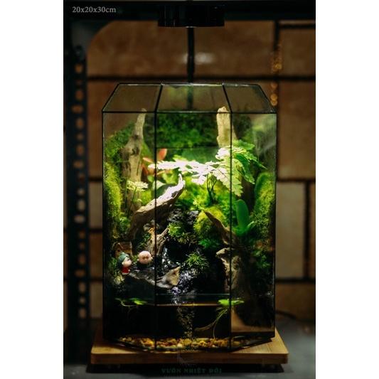 Bể Terrarium Đa Giác Setup Bán Cạn Để Bàn Làm Việc Mở Được Cánh Cửa