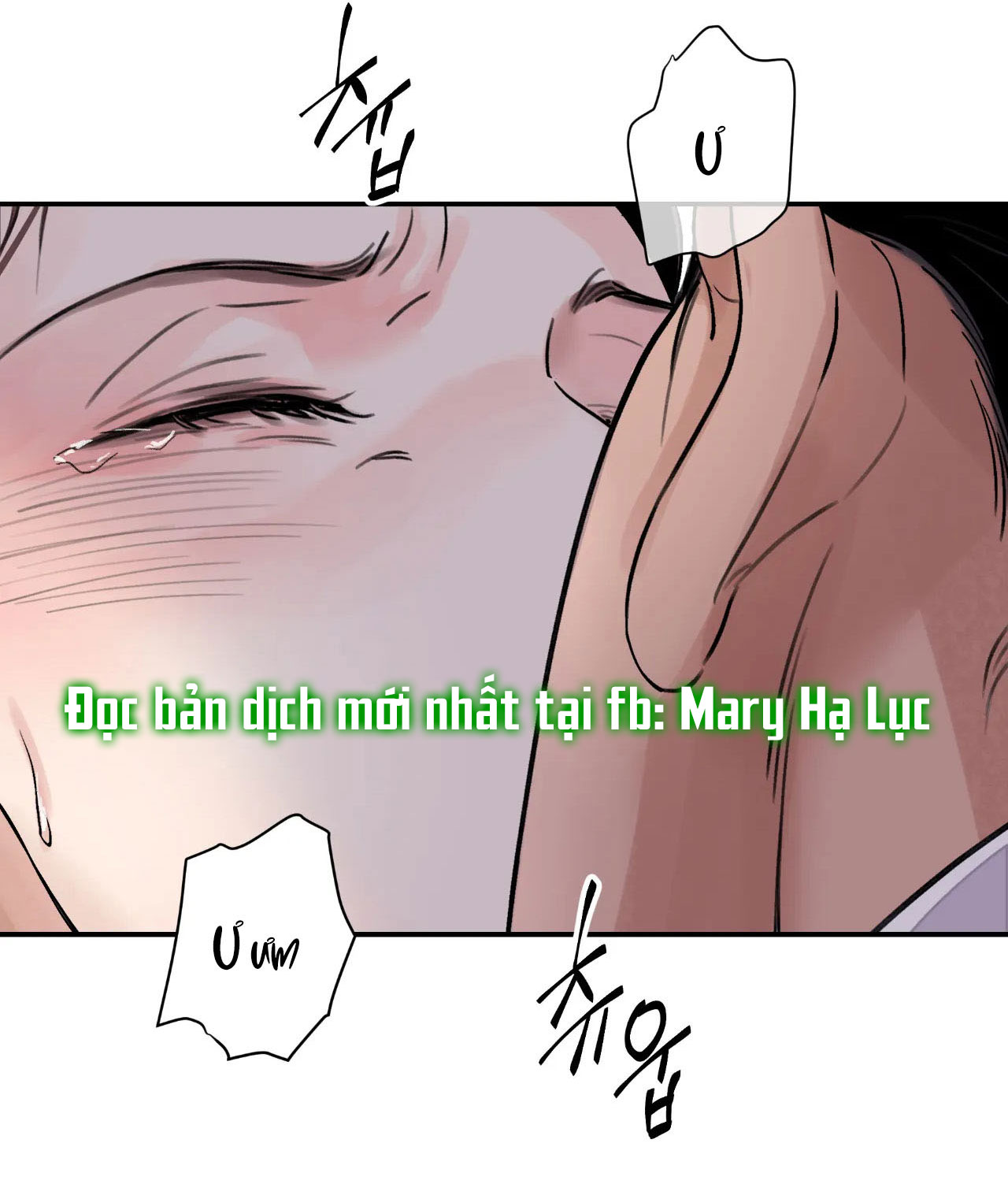 [18+] trượng kiếm tựa hoa chapter 20.2 17