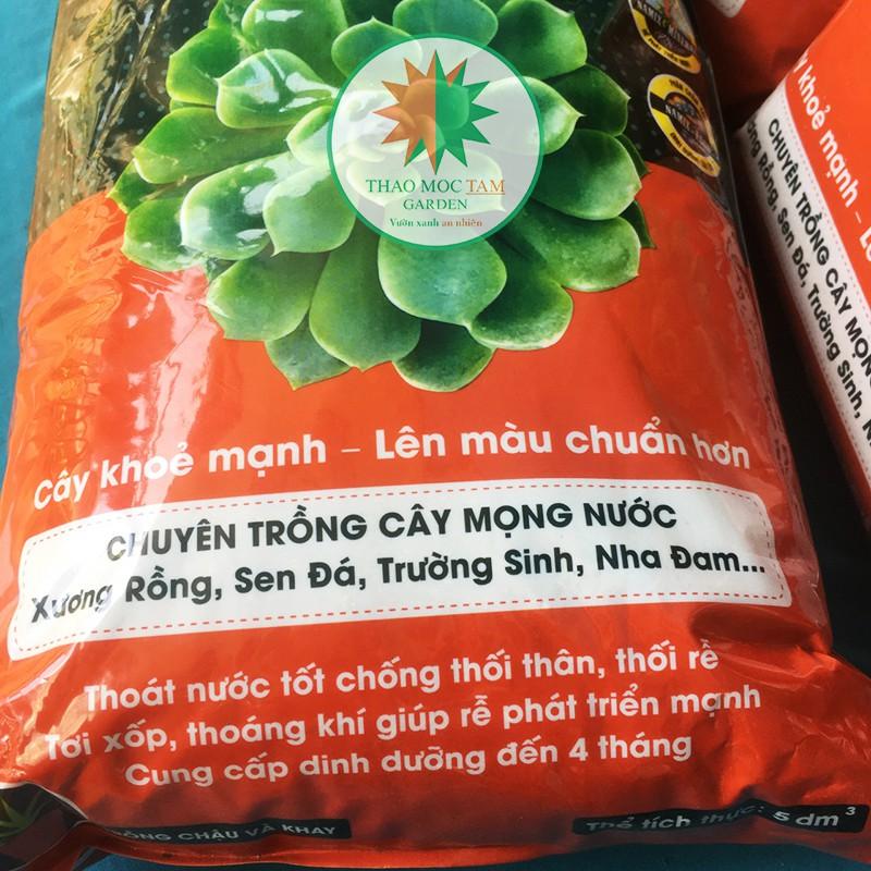 Đất trồng Sen đá Namix - Chuyên trồng cây mọng nước như Xương rồng, sen đá, nha đam...