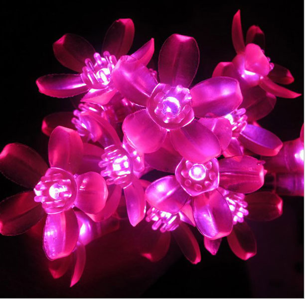 Dây Đèn Led Hoa Mai Hoa Đào 8M-60 Bóng Trang Trí Lễ, Tết ,Party