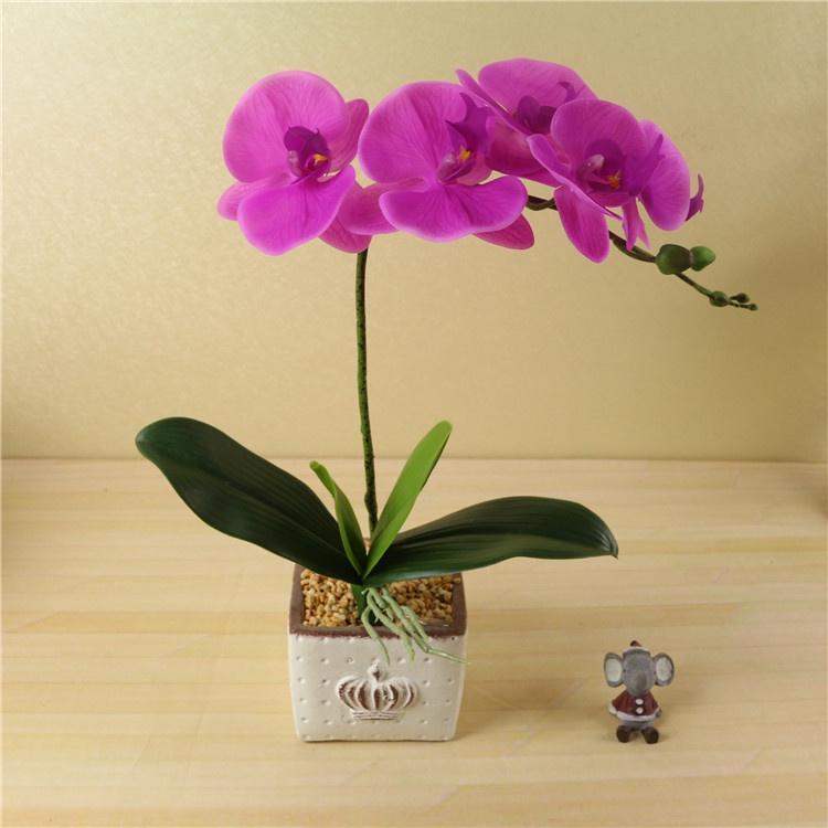 Cành lan 5 bông thân đốm chất liệu cao su cao cấp- giả mà như thật- Không kèm chậu
