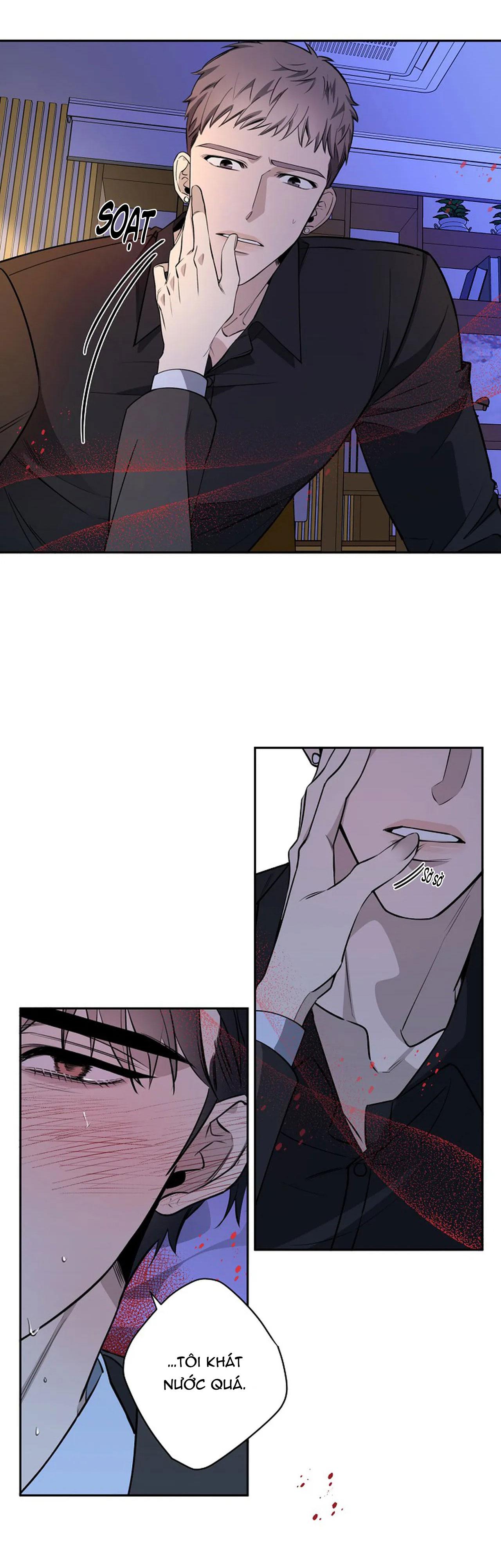 đêm dịu dàng chapter 37 18