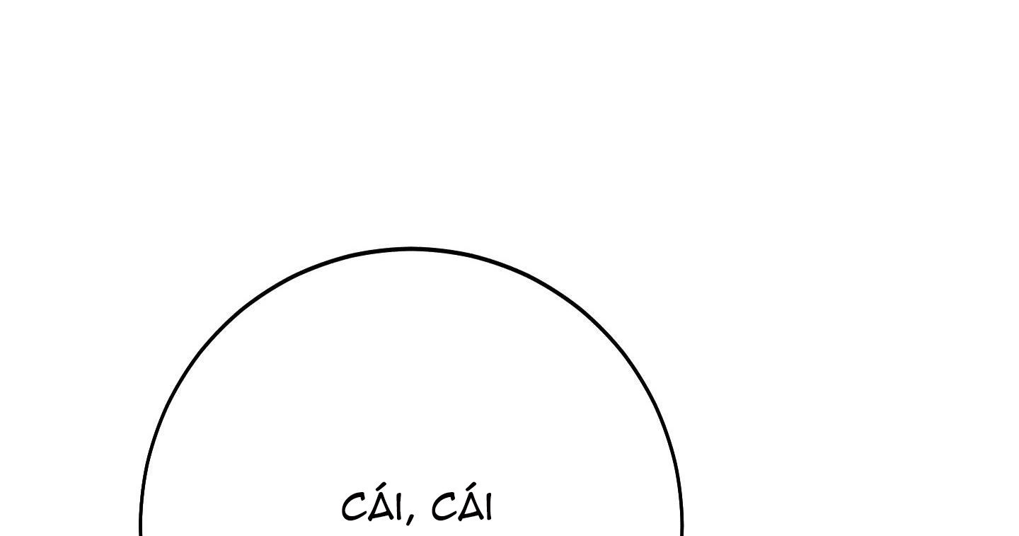 lãng mạn giả dối chapter 6 227