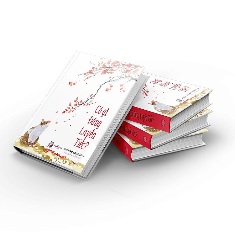 Sách Có Gì Đáng Luyến Tiếc - Đại Sư Khenpo Sodargye
