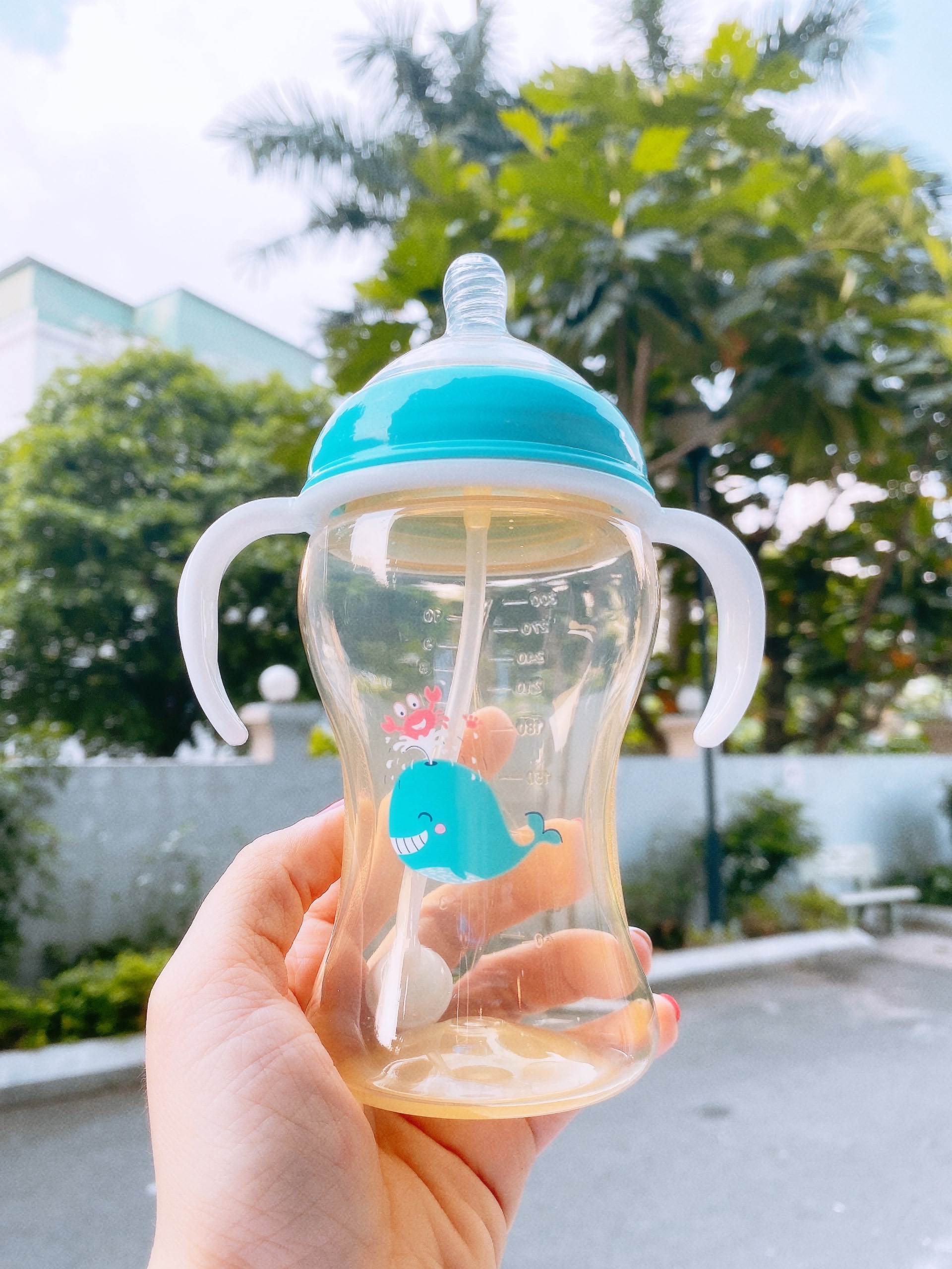 Bình Sữa Loluli PP Cổ Rộng Chống Sặc Cho Bé Chính Hãng - 300ml