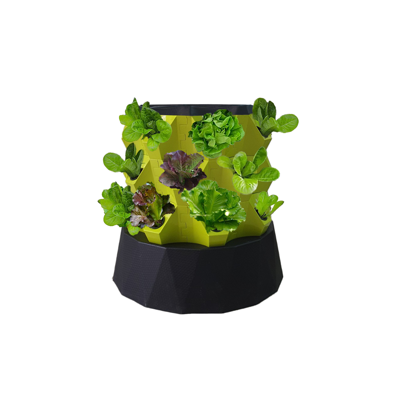 THÁP TRỒNG RAU THỦY CANH THÔNG MINH GREEN KONOHA - 3 TẦNG