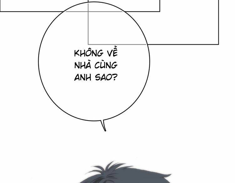 con tim rung động 3 chapter 20 65