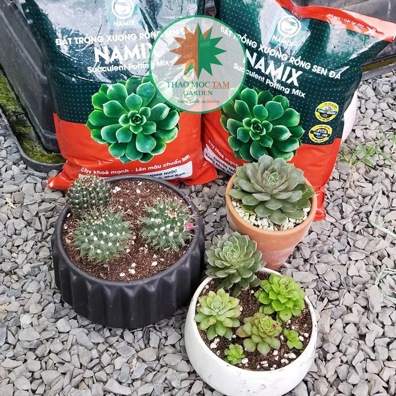 Đất trồng Sen đá Namix - Chuyên trồng cây mọng nước như Xương rồng, sen đá, nha đam...
