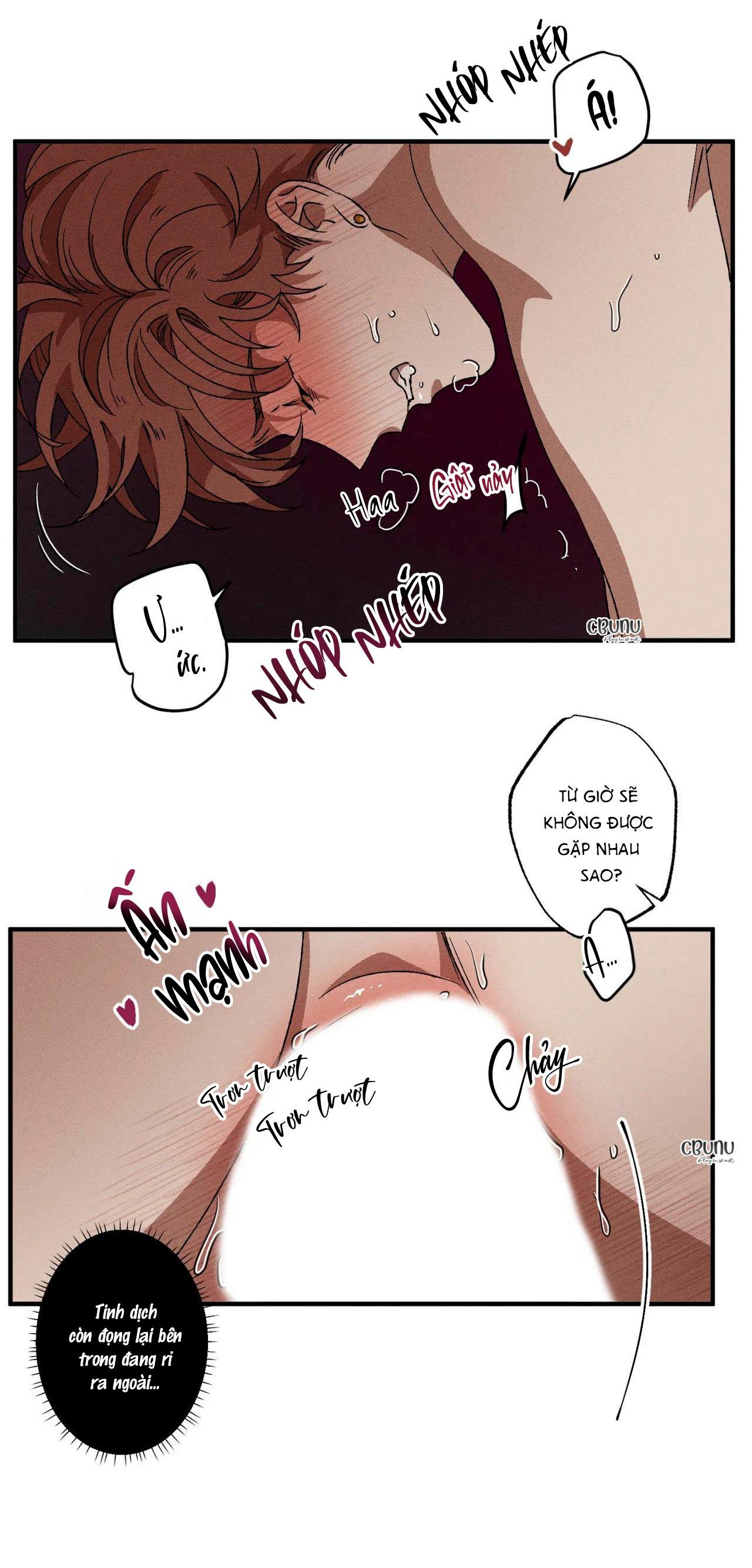 bẫy đôi ngọt ngào chapter 31 16