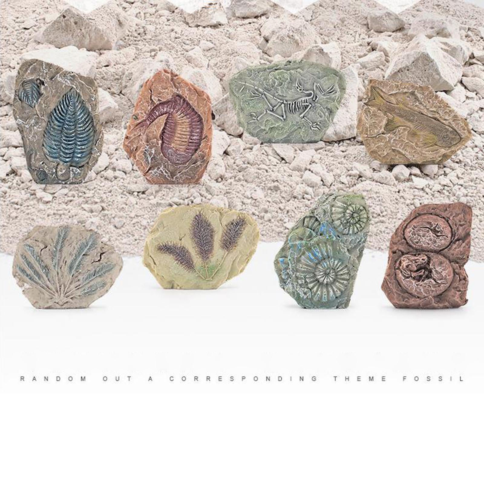 Dinosaur Excavation Kit Archaeology  for Toddler