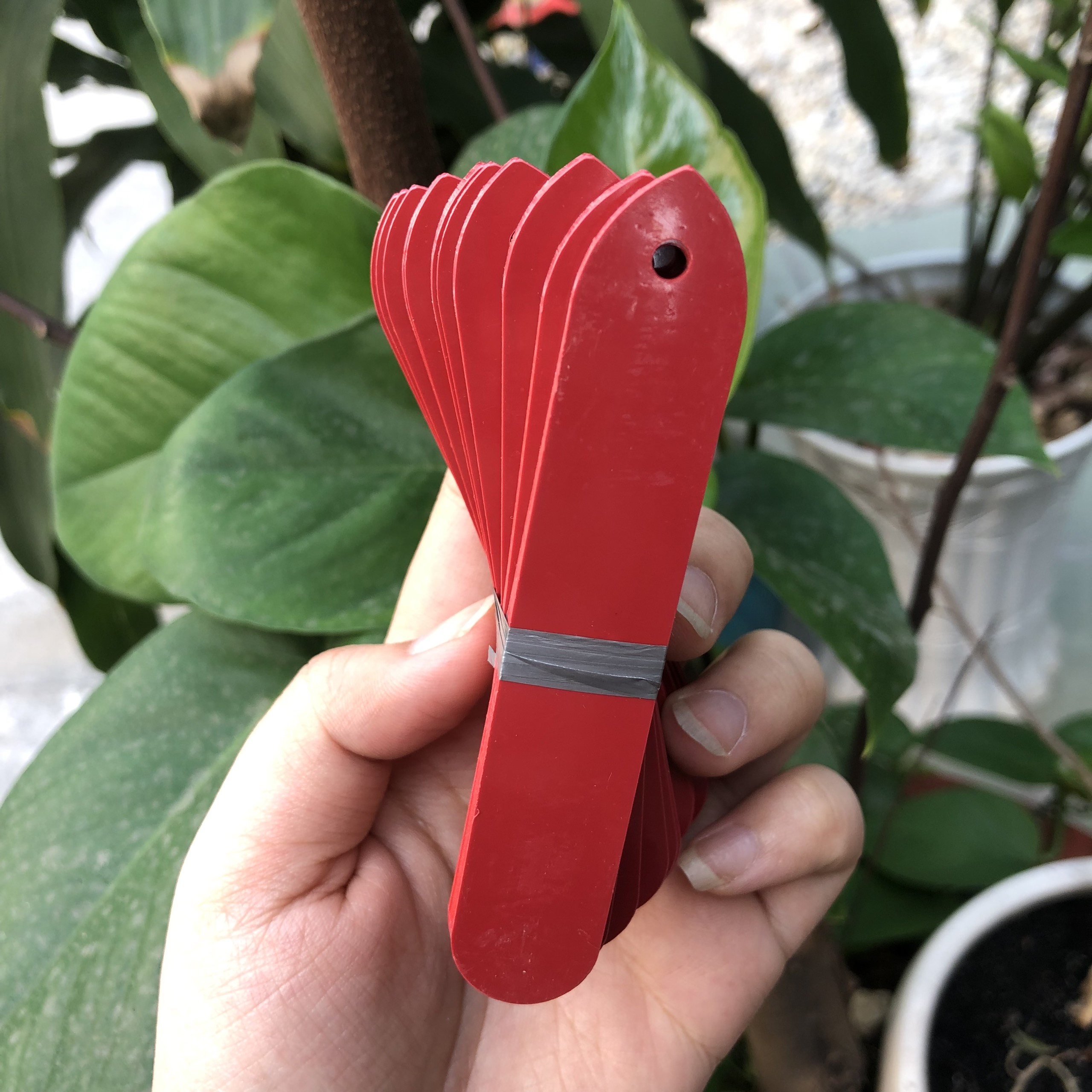 Thẻ treo ghi tên hoa kiểng, lan dạng đầu bầu- bịch 100 cái