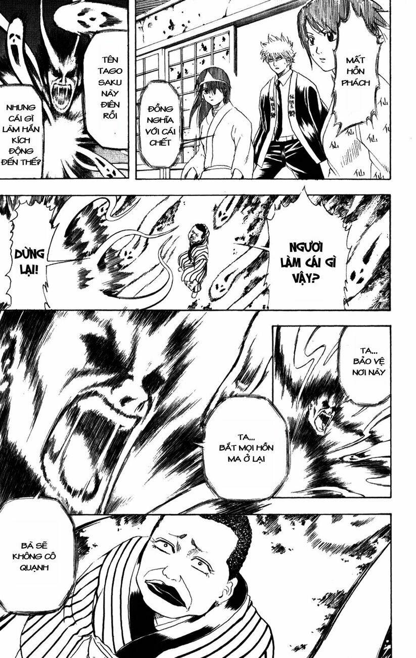 gintama - linh hồn bạc chapter 201 5