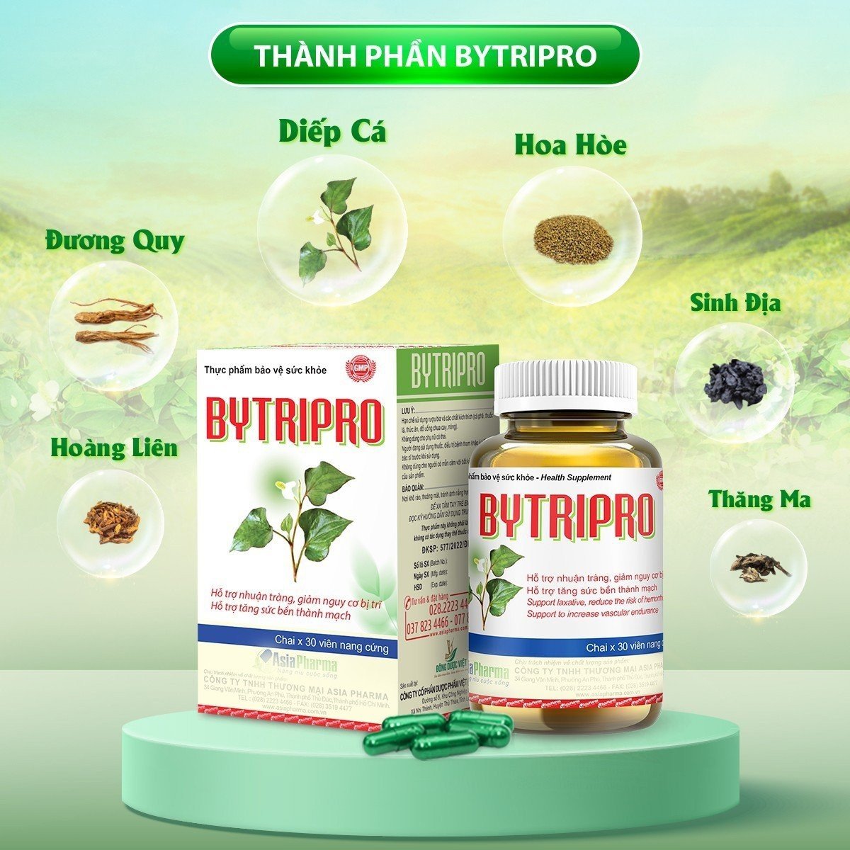 Viên uống tiêu trĩ, giảm táo bón nhuận tràng Bytripro Asia Pharma hỗ trợ cho người bị trĩ - Hộp 30 viên