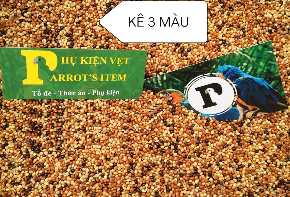 1KG KÊ 3 MÀU CHO VẸT,YẾN PHỤNG,CU GÁY,BỒ CÂU,MANH MANH