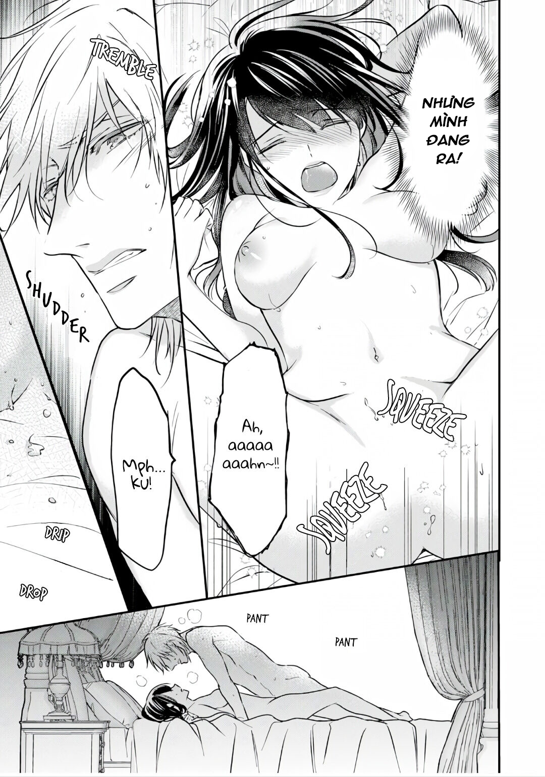 xuyên vào thế giới khác, trở thành thế thân cho công chúa rồi bị bạo chúa mang đi chapter 2.2 12