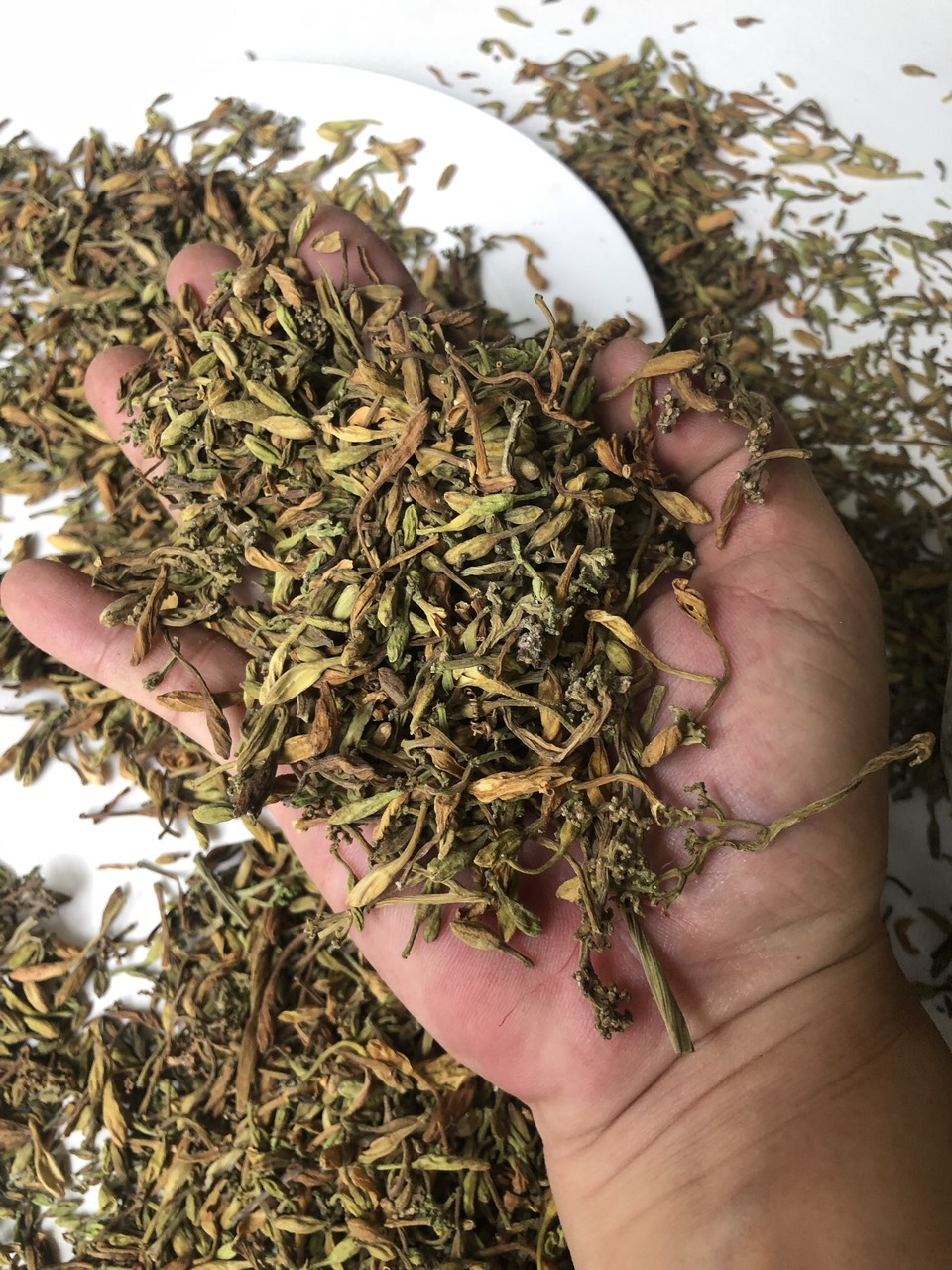 Hoa Đu Đủ Đực sấy khô đóng gói 1kg