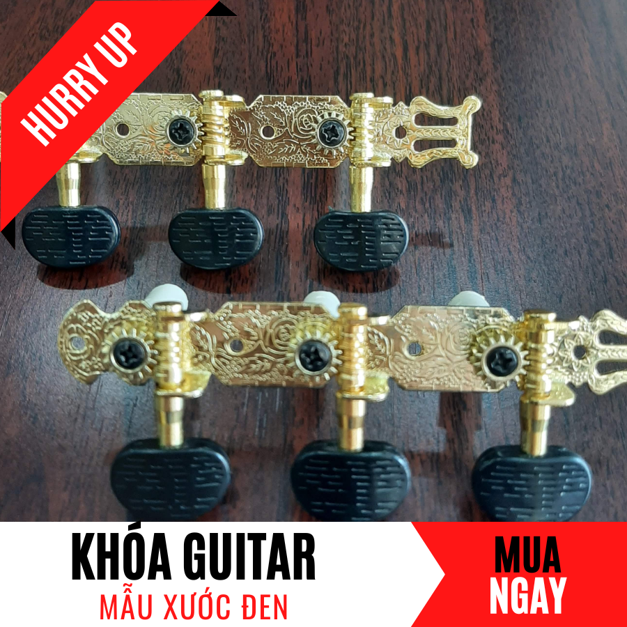 Khóa Đàn Guitar Acoustic Và Classic Tốt Nhất (New