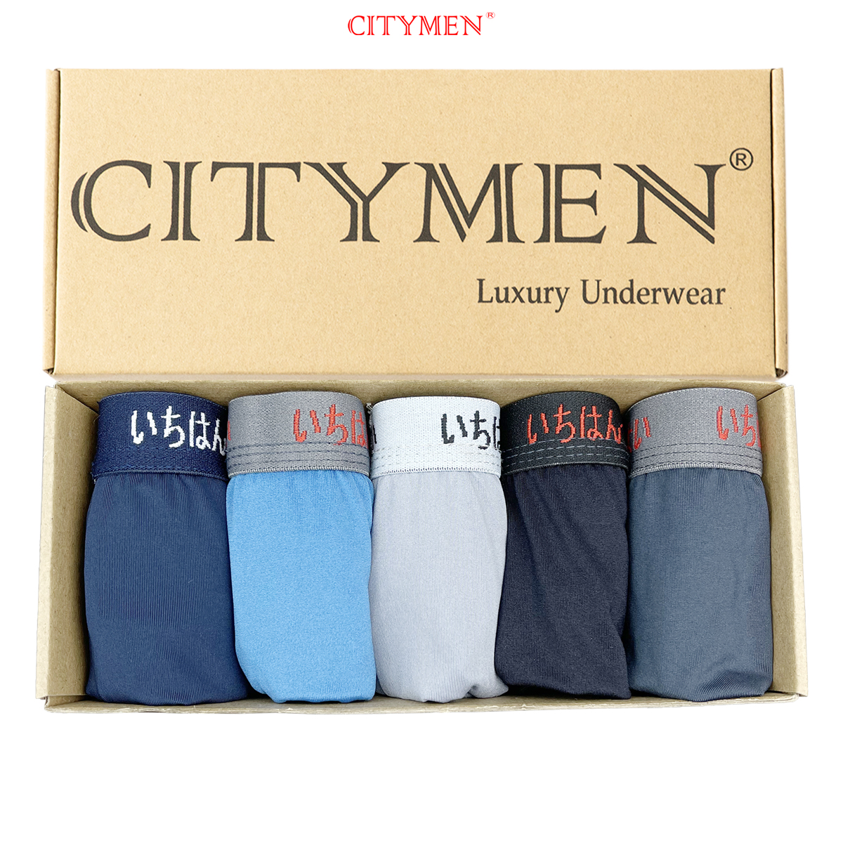 Hộp 5 Quần Lót Nam vải thun lạnh hiệu CITYMEN lưng Nhật 4 chiều cao cấp, đồ lót - LMTK-NHATAL