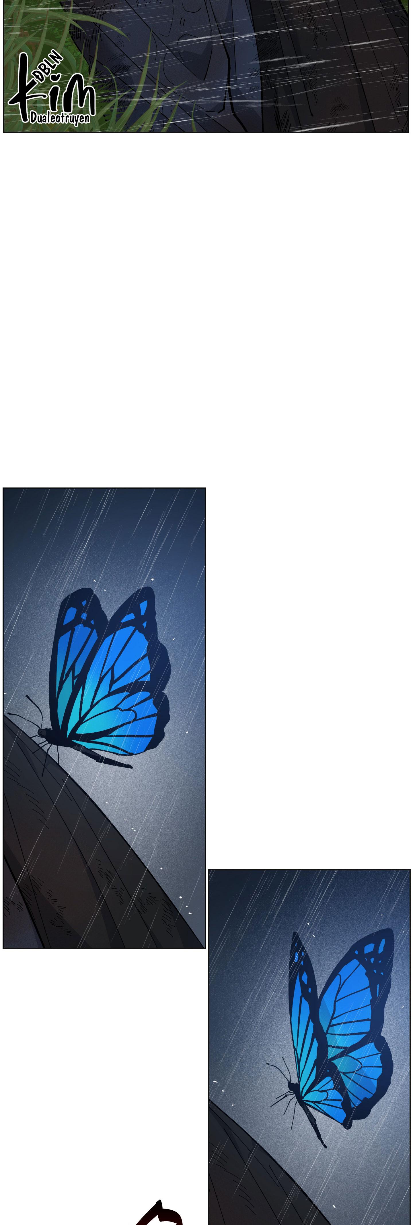 bình minh, mây và sông chapter 32 44