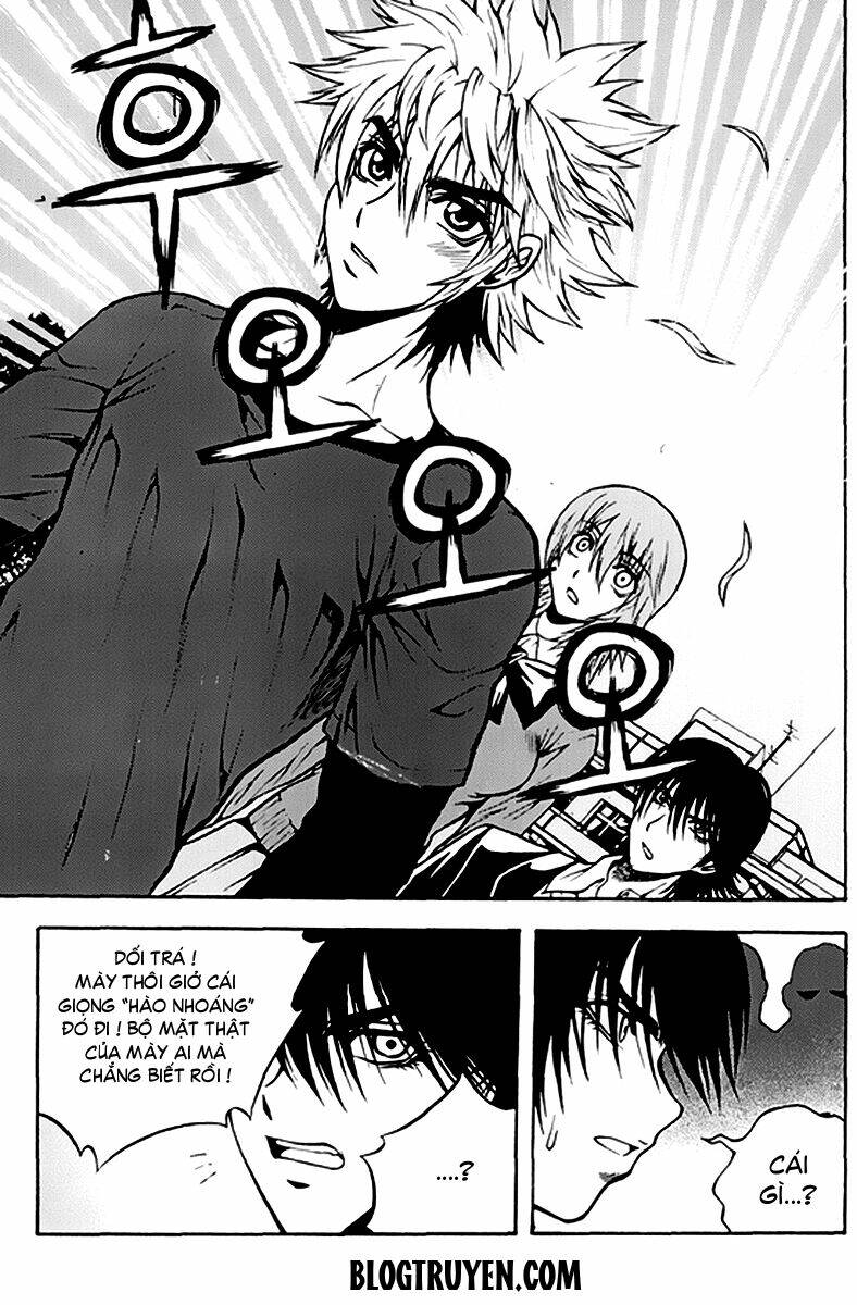 zippy ziggy chapter 49 4