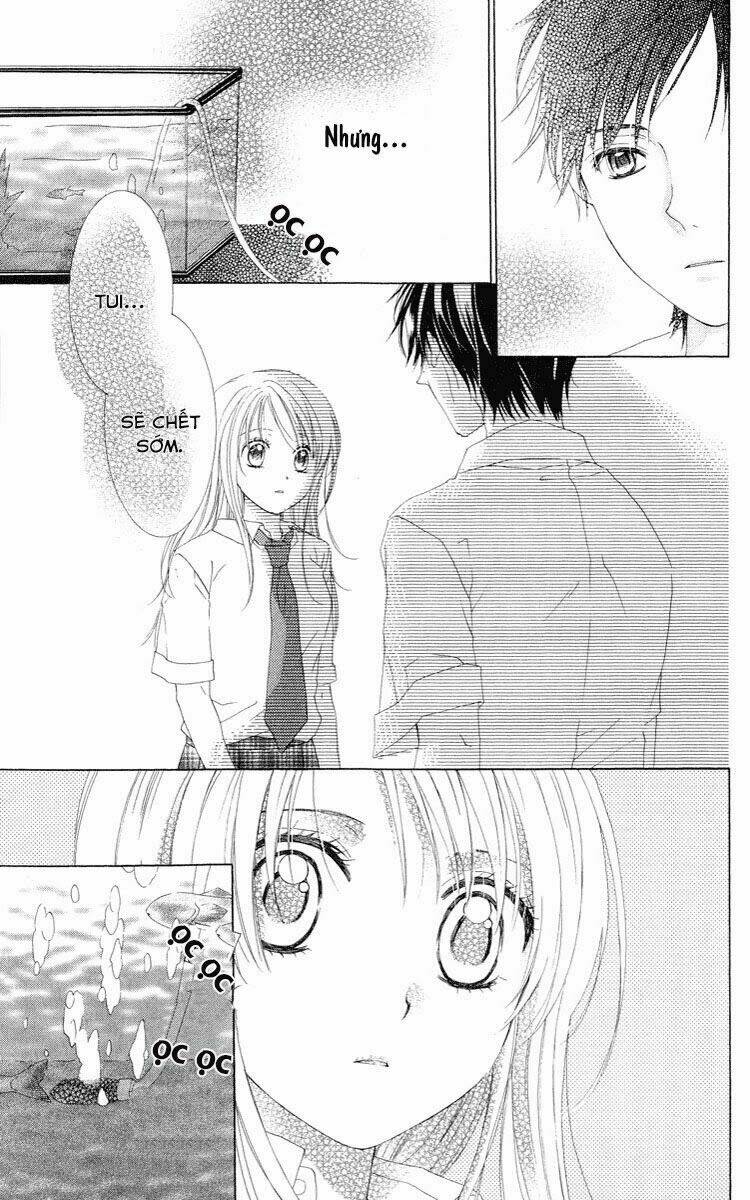 shinigami no ballad chapter 2 31