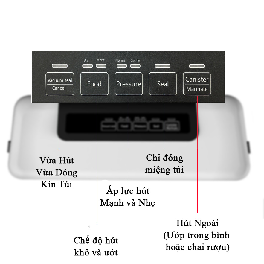 Máy Hút Chân Không Dành Cho Gia Đình W300 Đầy Đủ Mọi Tính Năng Cao Cấp Gọn Nhẹ