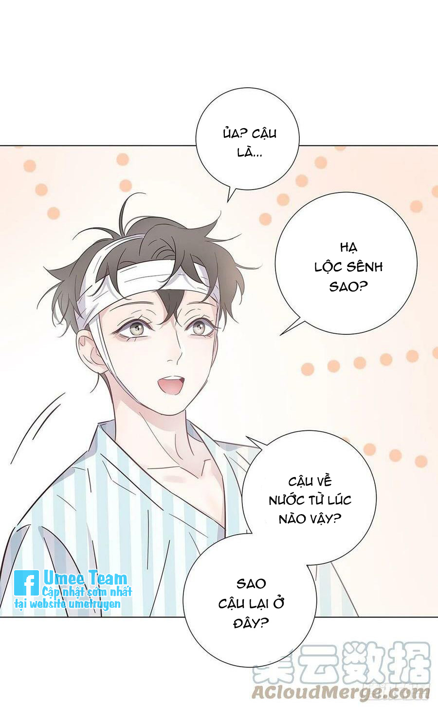 hôm nay nam giả trang nữ vẫn chưa được cầu hôn! chapter 78 33